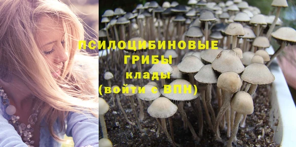 марки lsd Алексеевка
