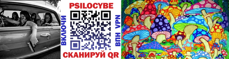 Галлюциногенные грибы Psilocybine cubensis  Баймак 